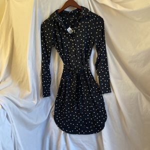 Ann Taylor Polkadot shirt dress